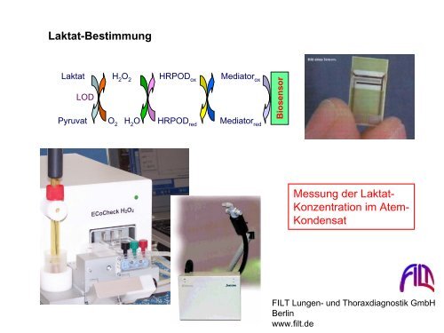 Leistungsphysiologie I, II, III (H. Pagel) - Institut für Physiologie