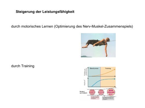 Leistungsphysiologie I, II, III (H. Pagel) - Institut für Physiologie