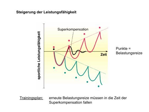 Leistungsphysiologie I, II, III (H. Pagel) - Institut für Physiologie