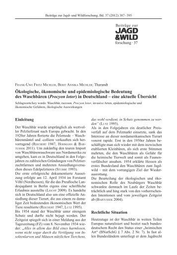 PDF-Download - Projekt Waschbär