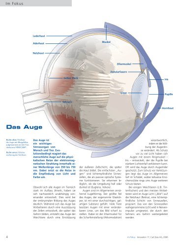 Das Auge - Carl Zeiss