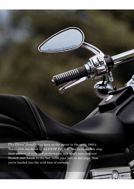 Polished Harley Davidson Dyna Electric Glide Softtail Lever Set
