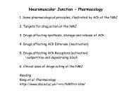 Neuromuscular Junction - Pharmacology