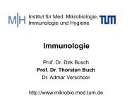 Immunologie - TUM