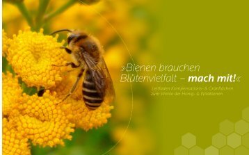 Bienen brauchen Blütenvielfalt – mach mit! - Niedersächsischen ...