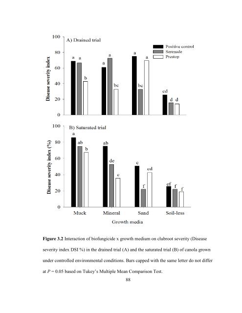 Hema Kasinathan Thesis May 1 2012.pdf - Atrium - University of ...