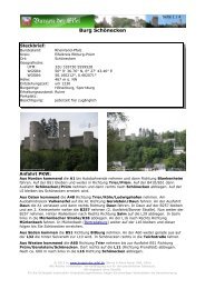 Informationen zur Burg Schönecken als PDF - Burgen der Eifel