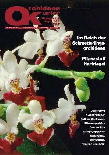 Im Reich der Schmetterlings- orchideen Pflanzstoff Hartriegel