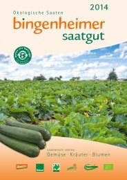 bingenheimer saatgut shop Ackerbohne Hangend Groenkern - Bingenheimer Saatgut (BIO)