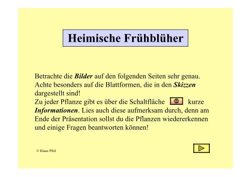 Heimische Frühblüher - fri-tic