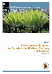 draft A Management Program for Cycads in the Northern Territory of ...