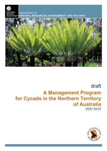 draft A Management Program for Cycads in the Northern Territory of ...