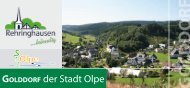 Broschüre Rehringhausen Stadt Olpe.pdf