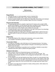 GEORGIA AQUARIUM ANIMAL FACT SHEET