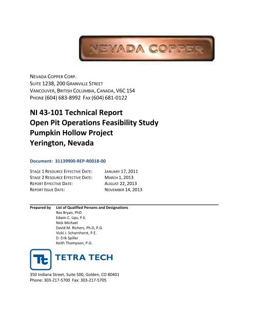 NI 43-101 Technical Report - Feasibility Study - Nevada Copper Corp.