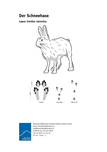 Der Schneehase - Mountain Wilderness