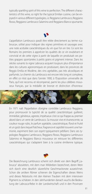 Terre di Lambrusco_2013_WEB.pdf