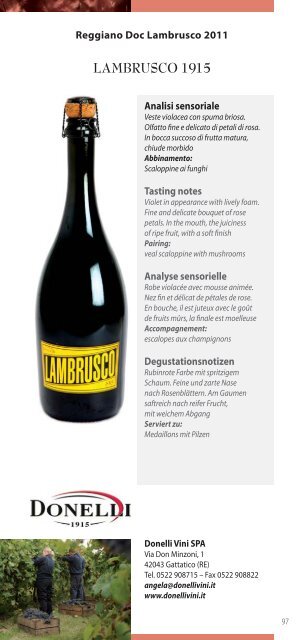 Terre di Lambrusco_2013_WEB.pdf