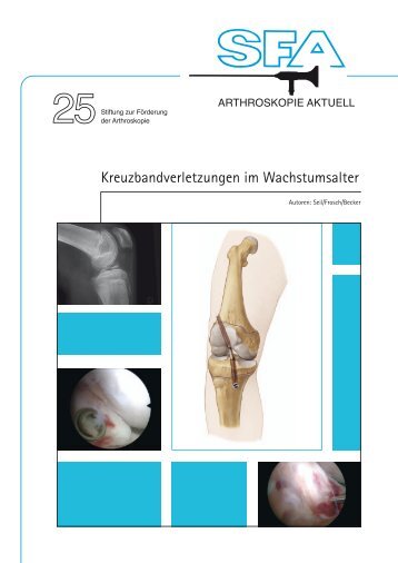 Publikation zum Download (PDF 4,5 MB) - SFA - Stiftung zur ...