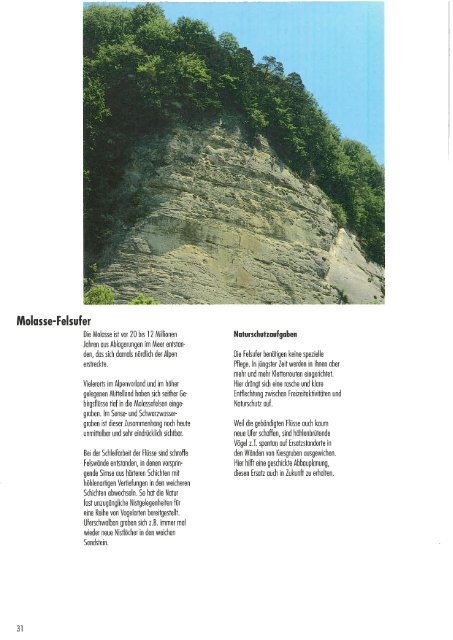 Berner Biotope 1992 - Volkswirtschaftsdirektion des Kantons Bern