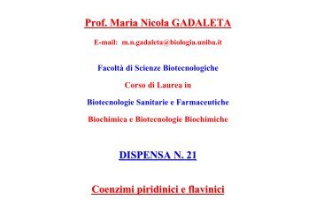 Prof. Maria Nicola GADALETA DISPENSA N. 21 Coenzimi piridinici ...
