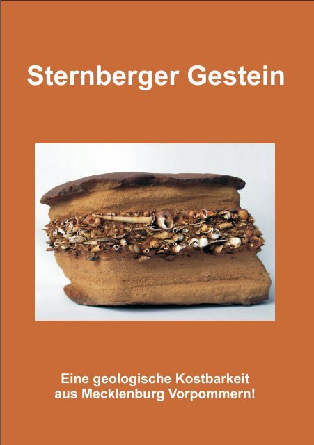 Buch Sternberger Gestein Inhalt.cdr - Geologisches Museum