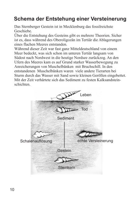 Buch Sternberger Gestein Inhalt.cdr - Geologisches Museum