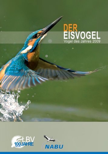 Der Eisvogel - Vogel des Jahres 2009 - Wald-Erlebnis-Pfad