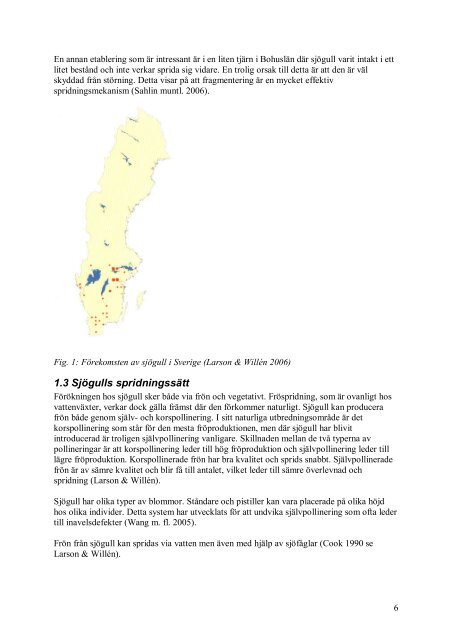 Läs rapporten av Göteborgs universitet om sjögull - Ulricehamn