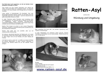 Ratten-Asyl