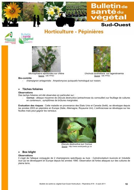 Horticulture - PÃ©piniÃ¨res - Chambre rÃ©gionale d'agriculture Midi ...