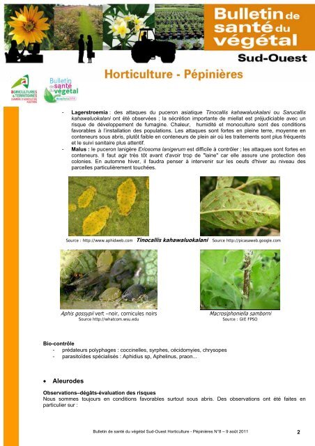 Horticulture - PÃ©piniÃ¨res - Chambre rÃ©gionale d'agriculture Midi ...