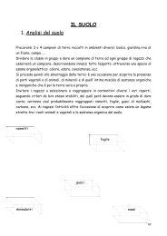 Il suolo - Circolo Didattico Figline Valdarno