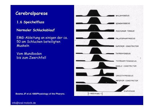 Störungen der Mundmotorik- als pdf-Datei - Oral-motorik.de