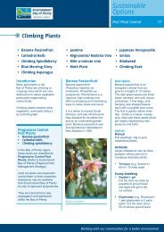 Climbing Plants - Bay of Plenty Regional Council