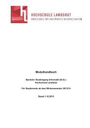 Modulhandbuch - Hochschule Landshut