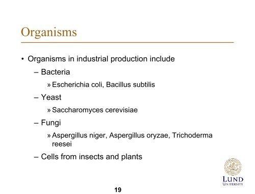 Biotechnology - Department of Chemical Engineering