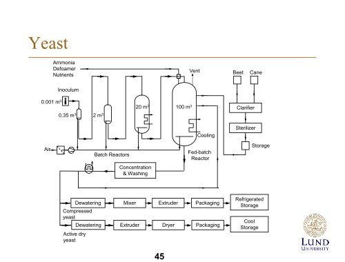 Biotechnology - Department of Chemical Engineering