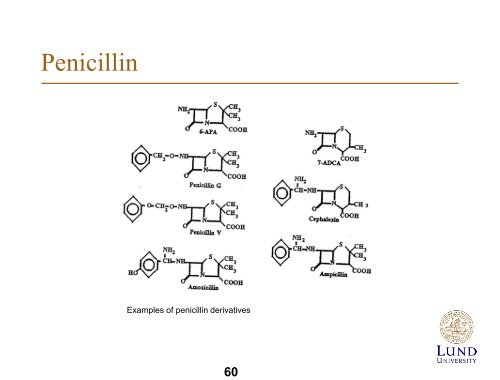 Biotechnology - Department of Chemical Engineering