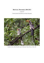 Fugleliste, Maremani 2004-2012 - Maremani Nature Reserve