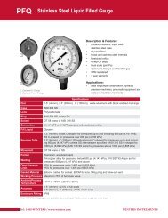 Stainless Steel Liquid Filled Gauge PFQ - Winters Instruments