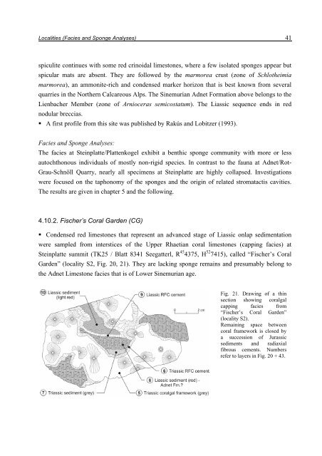 Porifera-microbialites of the Lower Liassic (Northern Calcareous ...