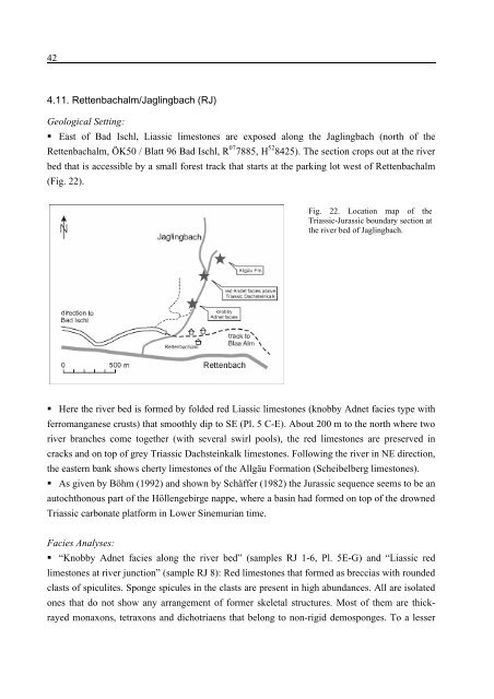 Porifera-microbialites of the Lower Liassic (Northern Calcareous ...