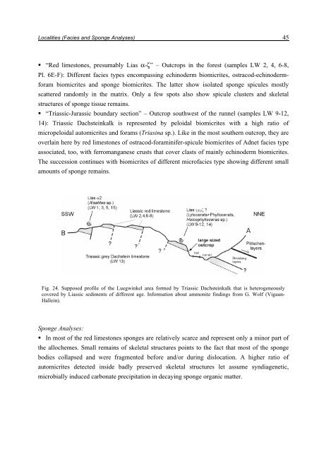 Porifera-microbialites of the Lower Liassic (Northern Calcareous ...