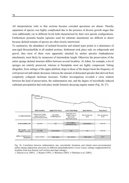 Porifera-microbialites of the Lower Liassic (Northern Calcareous ...