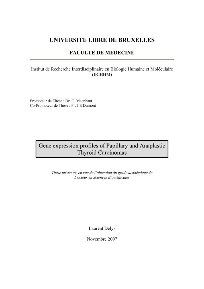 Programme polytech ulb picture