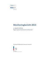 Monitoringbericht 2013 - Regierung des Fürstentums Liechtenstein