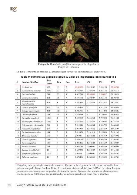 Inventario florístico cuantitativo del Parque ... - Mirahonduras.org