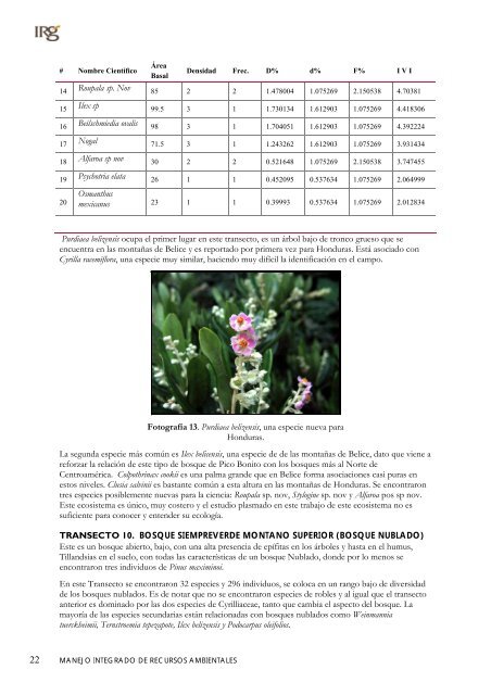 Inventario florístico cuantitativo del Parque ... - Mirahonduras.org