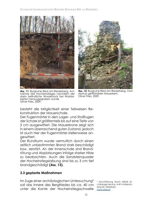 Sanierungskonzept Bergfried 2010 - Burgruine Ried